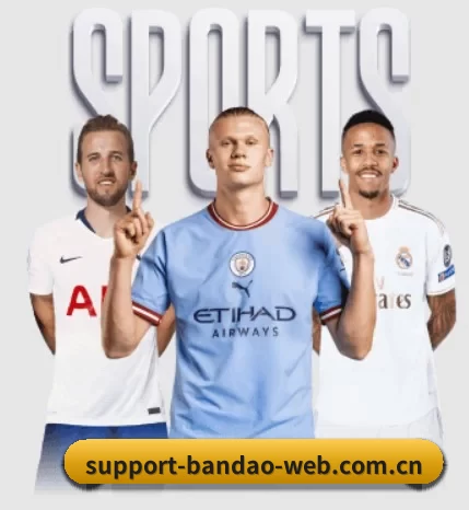 半岛体育围绕看球场景设计的核心服务 - BandaoSports
